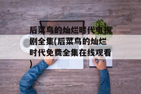 后菜鸟的灿烂时代电视剧全集(后菜鸟的灿烂时代免费全集在线观看)-第1张图片-