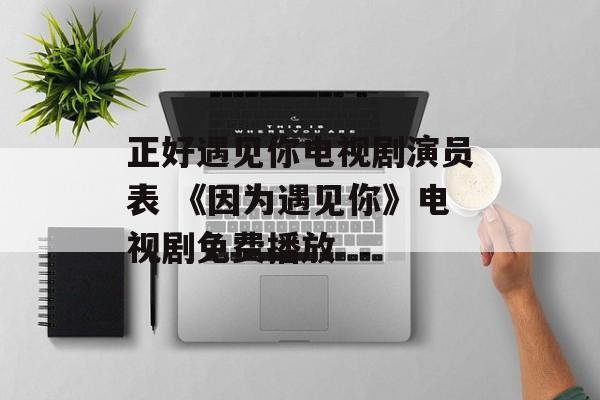 正好遇见你电视剧演员表 《因为遇见你》电视剧免费播放-第1张图片-