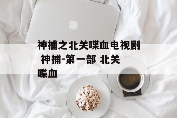 神捕之北关喋血电视剧 神捕-第一部 北关喋血-第1张图片-