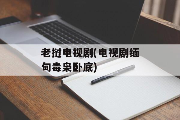 老挝电视剧(电视剧缅甸毒枭卧底)-第1张图片-