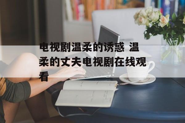 电视剧温柔的诱惑 温柔的丈夫电视剧在线观看-第1张图片-