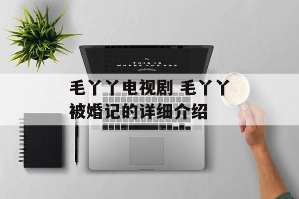 毛丫丫电视剧 毛丫丫被婚记的详细介绍-第1张图片-