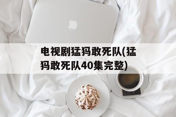 电视剧猛犸敢死队(猛犸敢死队40集完整)-第1张图片-