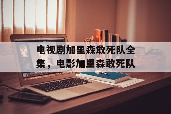电视剧加里森敢死队全集，电影加里森敢死队-第1张图片-