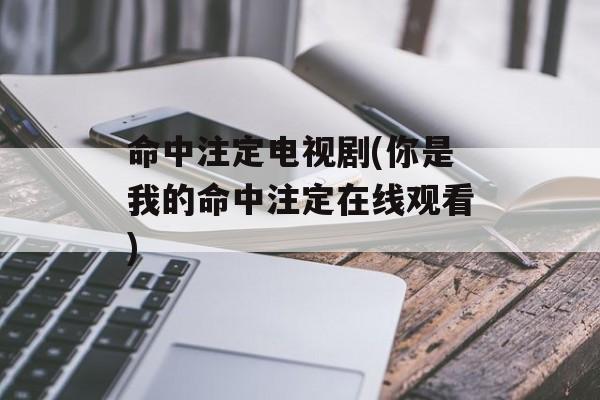 命中注定电视剧(你是我的命中注定在线观看)-第1张图片-