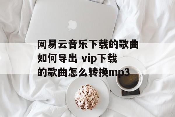 网易云音乐下载的歌曲如何导出 vip下载的歌曲怎么转换mp3-第1张图片-