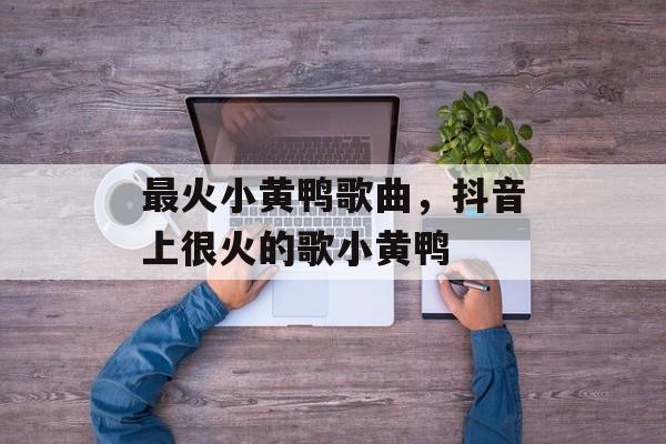 最火小黄鸭歌曲，抖音上很火的歌小黄鸭-第1张图片-