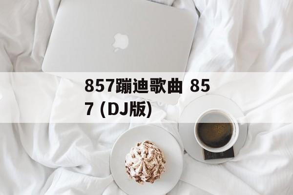 857蹦迪歌曲 857 (DJ版)-第1张图片-