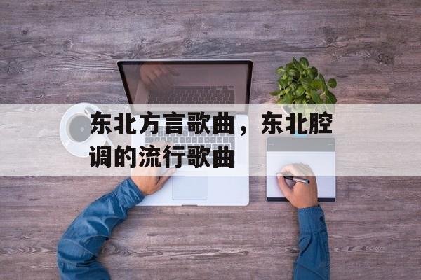 东北方言歌曲，东北腔调的流行歌曲-第1张图片-