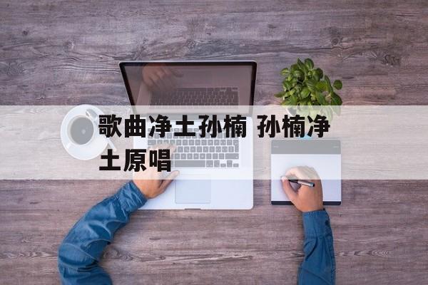 歌曲净土孙楠 孙楠净土原唱-第1张图片-