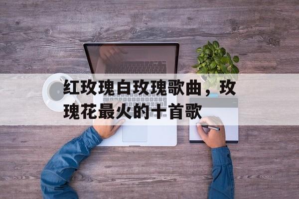 红玫瑰白玫瑰歌曲，玫瑰花最火的十首歌-第1张图片-