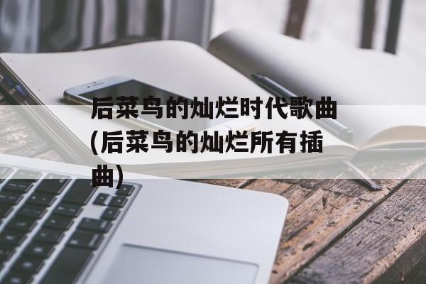 后菜鸟的灿烂时代歌曲(后菜鸟的灿烂所有插曲)-第1张图片-