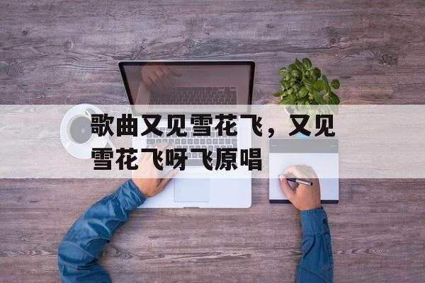 歌曲又见雪花飞，又见雪花飞呀飞原唱-第1张图片-