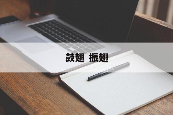 鼓翅 振翅-第1张图片-
