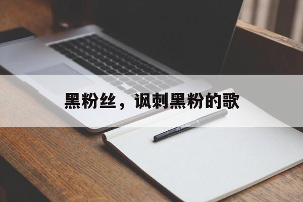 黑粉丝，讽刺黑粉的歌-第1张图片-