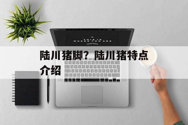 陆川猪脚？陆川猪特点介绍-第1张图片-