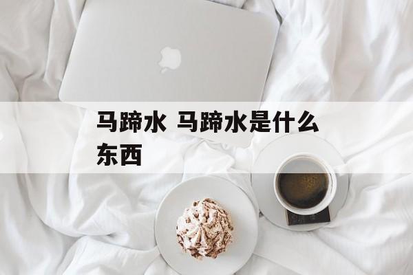 马蹄水 马蹄水是什么东西-第1张图片-