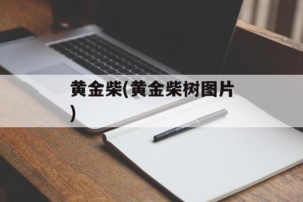 黄金柴(黄金柴树图片)-第1张图片-