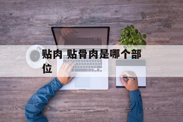 贴肉 贴骨肉是哪个部位-第1张图片-
