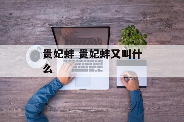 贵妃蚌 贵妃蚌又叫什么-第1张图片-