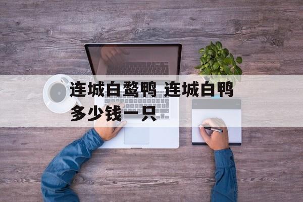 连城白鹜鸭 连城白鸭多少钱一只-第1张图片-