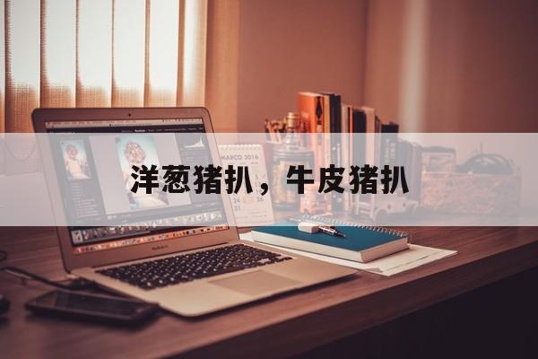 洋葱猪扒，牛皮猪扒-第1张图片-