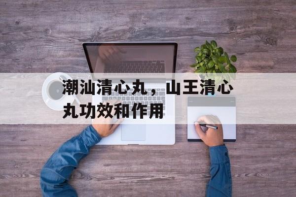 潮汕清心丸，山王清心丸功效和作用-第1张图片-