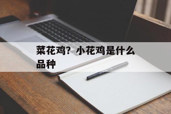 菜花鸡？小花鸡是什么品种-第1张图片-