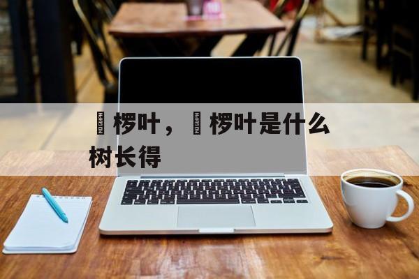 桲椤叶，桲椤叶是什么树长得-第1张图片-