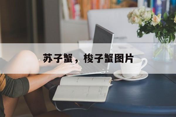 苏子蟹，梭子蟹图片-第1张图片-
