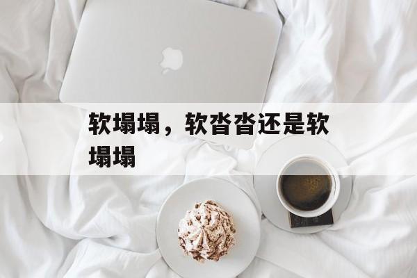 软塌塌，软沓沓还是软塌塌-第1张图片-