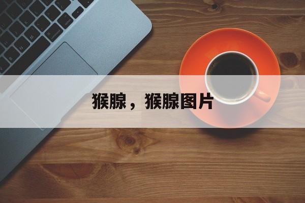 猴腺，猴腺图片-第1张图片-