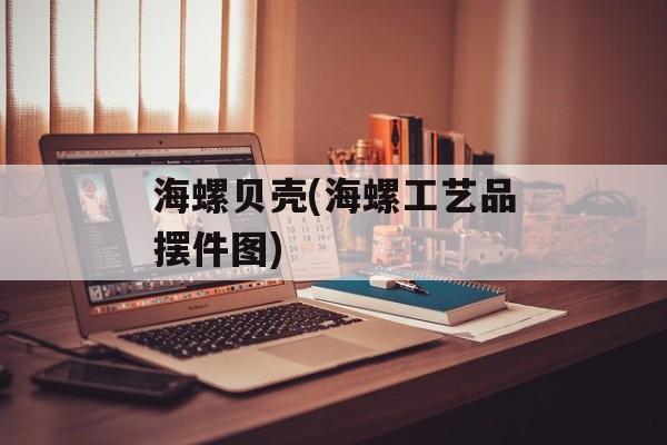 海螺贝壳(海螺工艺品摆件图)-第1张图片-
