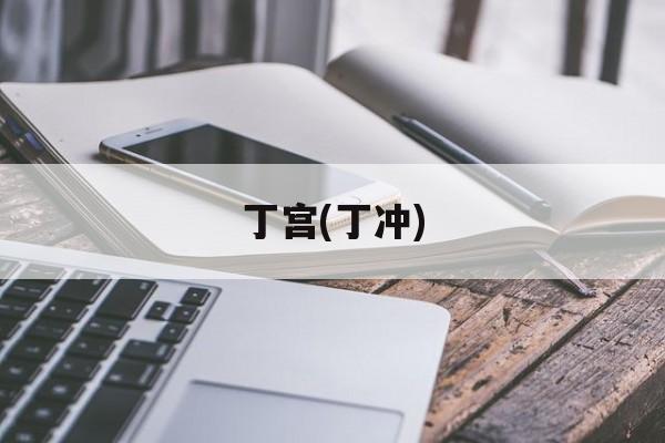 丁宫(丁冲)-第1张图片-