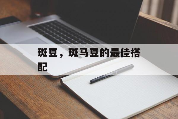 斑豆，斑马豆的最佳搭配-第1张图片-