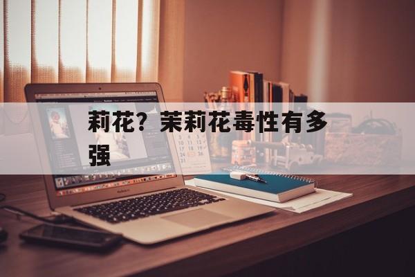 莉花？茉莉花毒性有多强-第1张图片-