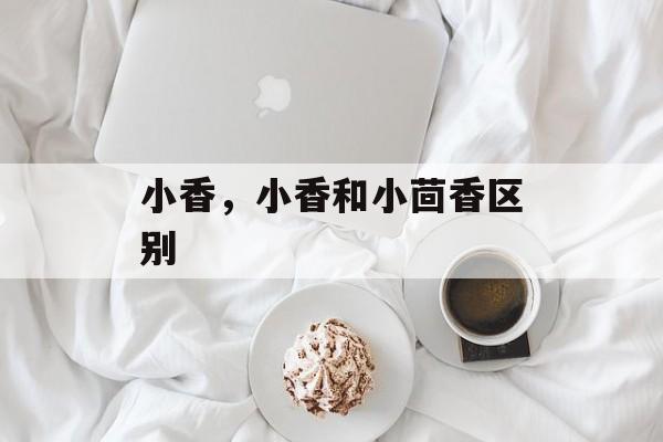 小香，小香和小茴香区别-第1张图片-