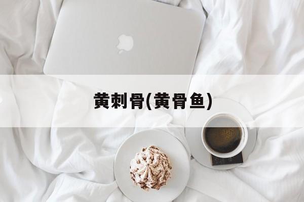 黄刺骨(黄骨鱼)-第1张图片-