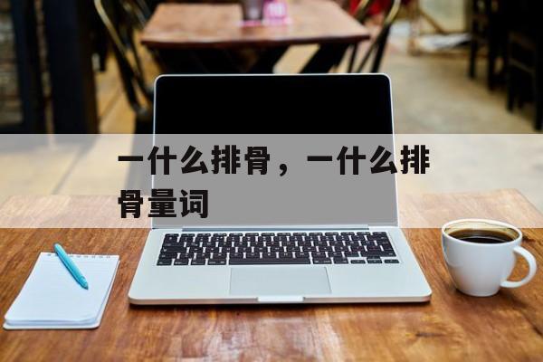 一什么排骨，一什么排骨量词-第1张图片-