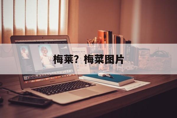 梅莱？梅菜图片-第1张图片-