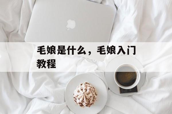 毛娘是什么，毛娘入门教程-第1张图片-