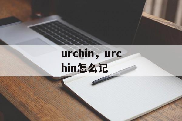 urchin，urchin怎么记-第1张图片-