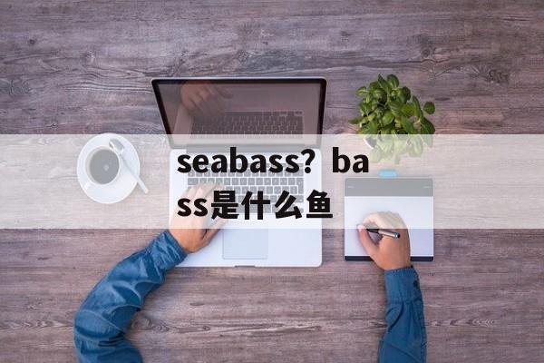 seabass？bass是什么鱼-第1张图片-