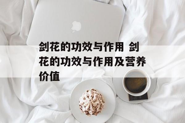 剑花的功效与作用 剑花的功效与作用及营养价值-第1张图片-