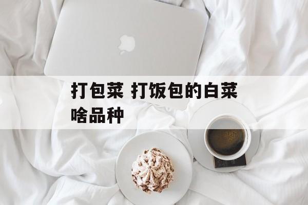 打包菜 打饭包的白菜啥品种-第1张图片-