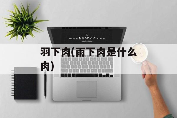 羽下肉(雨下肉是什么肉)-第1张图片-