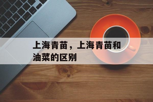 上海青苗，上海青苗和油菜的区别-第1张图片-