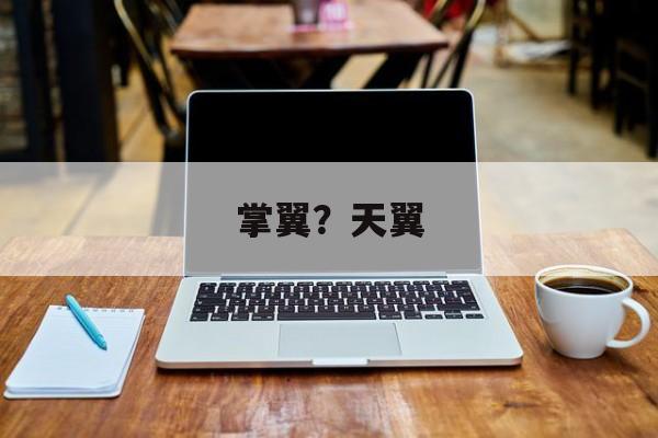 掌翼？天翼-第1张图片-