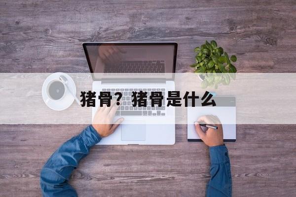 猪骨？猪骨是什么-第1张图片-