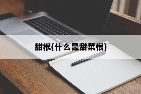 甜根(什么是甜菜根)-第1张图片-
